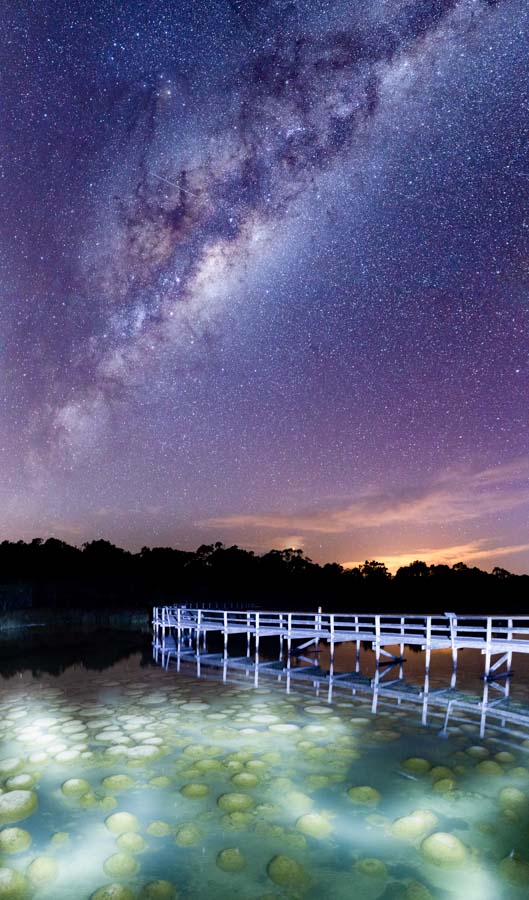 milky way over broad walk with illuminated water. large mounds under the water are living fossils