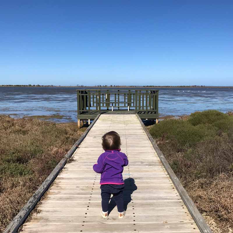 Maddie on a boardwalk walking out towards a viewing platform with a bench to sit and watch the swans